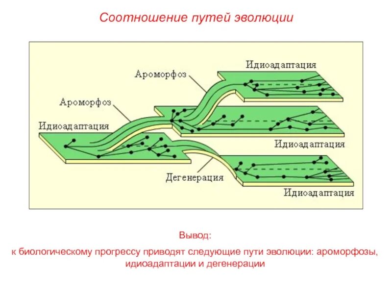 Следующий путь