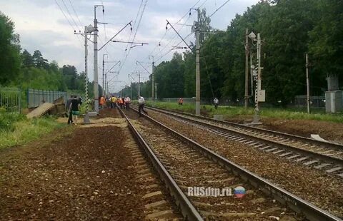 Москва ярославская зеленоградская