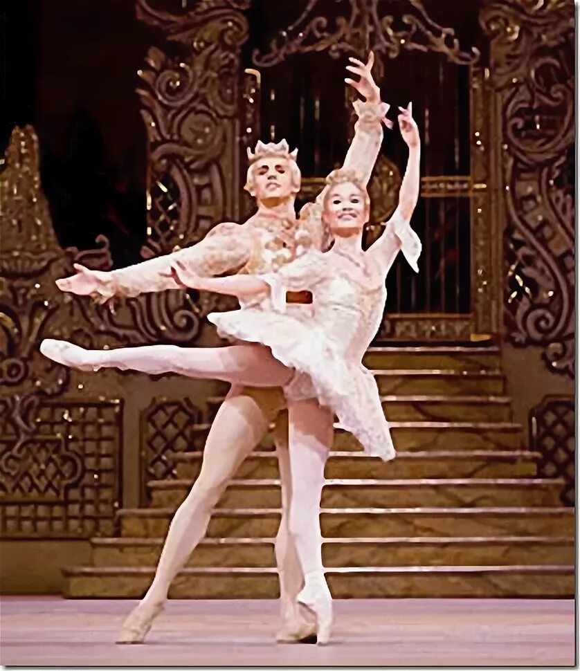The nutcracker dance of the. The nutcracker dance of the