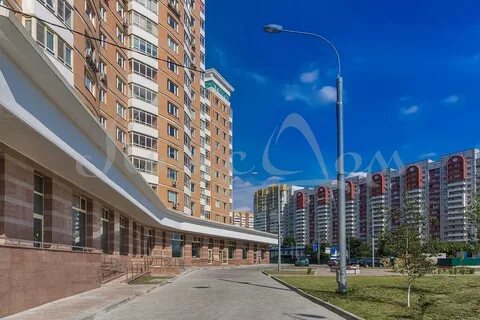 Москва мичуринский пр т