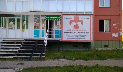 Хвостик ветеринарная
