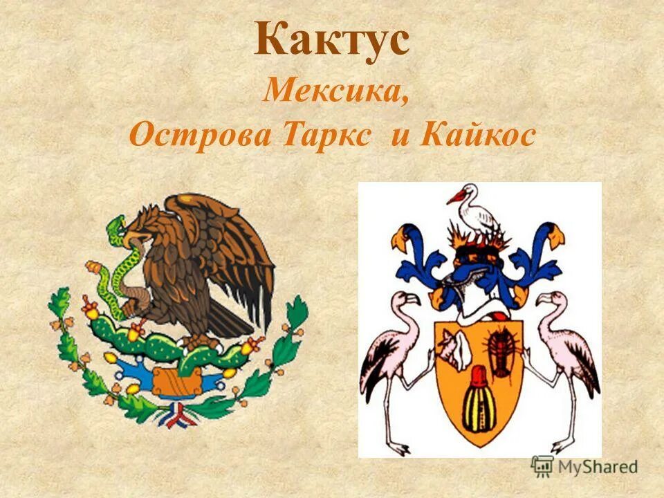 герб мексики фото. гербы разных стран. орел на флаге мексики. гербы стран. страны на гербах которых изображены растения.