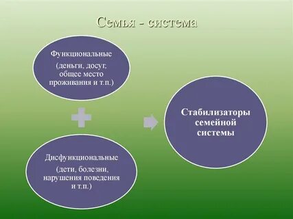 Принципы семейной системы