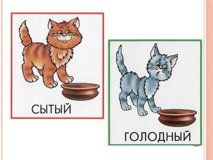 Противоположности для детей. Голодная кошка и Сытый кот картинки. Картина голодная и Сытый кот. Голодный и Сытый кот иллюстрация. Кошка голодный песня