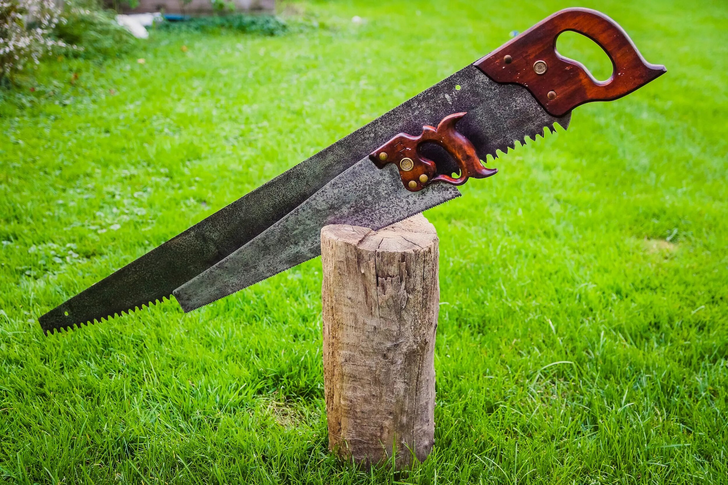 Что можно делать пилами. Ножовка по дереву. Спилить дерево ручной пилой. Пилить дерево ручной пилой. Узкая ножовка по дереву.