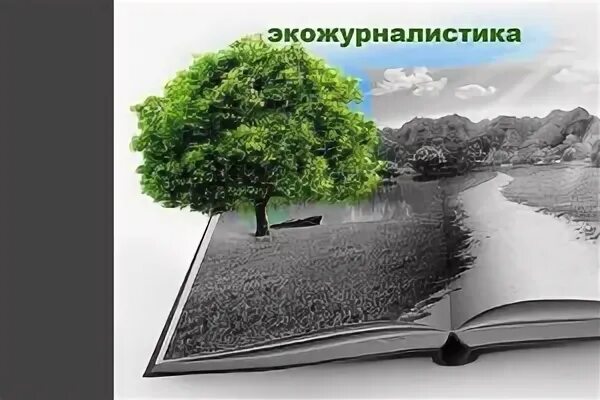 Экологическая журналистика. Тренинг по экологии. Экожурналистика картинки. Вопросы про экологию. Экология и журналистика.