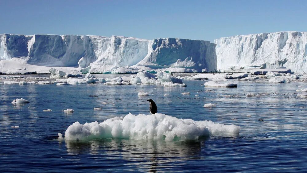 Cold region. Китовая бухта море Росса. Озеро Восток в Антарктиде. Айсберги большого арктического заповедника. Земля Адели в Антарктиде.