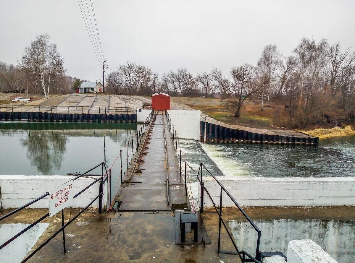 Уровень воды река цна. Плотина Тамбов. Плотина на реке Цна в Тамбове. Плотина Тамбов Пригородный лес. Тамбовская дамба.