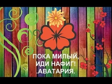 Пока мил