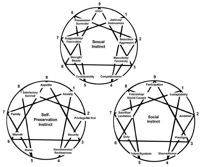 Инстинкты so sp sx. Эннеаграмма инстинкты. Три тайп Энеаграмма. Эннеаграмма типы как определить. Эннеаграмма MBTI.