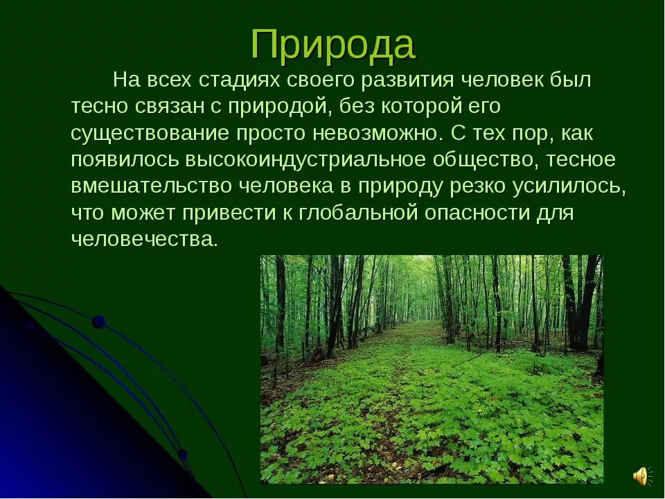 Проект о природе. Проект человек и природа. Текст про природу. Человек и природа текст.