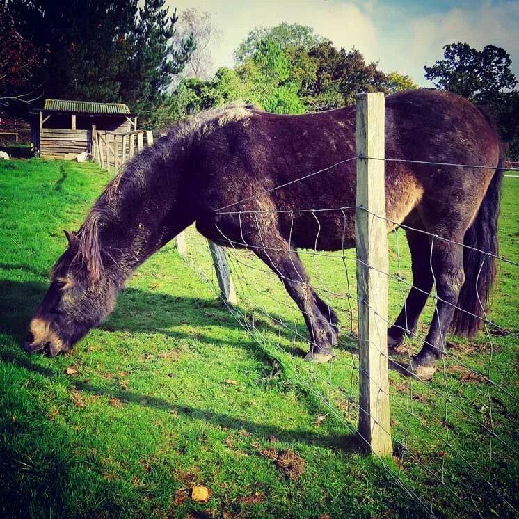 Grass greener on the other side. The grass is always greener on the other side. the grass is always greener on the other side of the fence. the grass is always greener on the other side of the fence идиомы. the grass is always greener on the other side on the fence example.