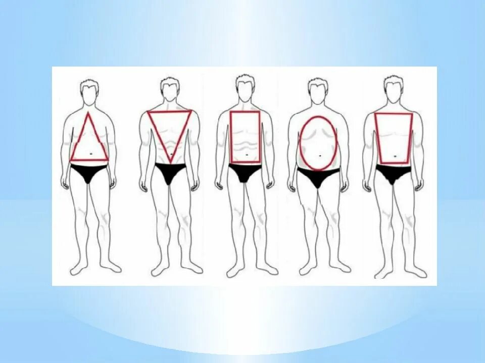 Типаж парня. Идеальный тип мужчины. Виды тела. Типы фигур эктоморф эндоморф мезоморф. Типы телосложения у мужчин.