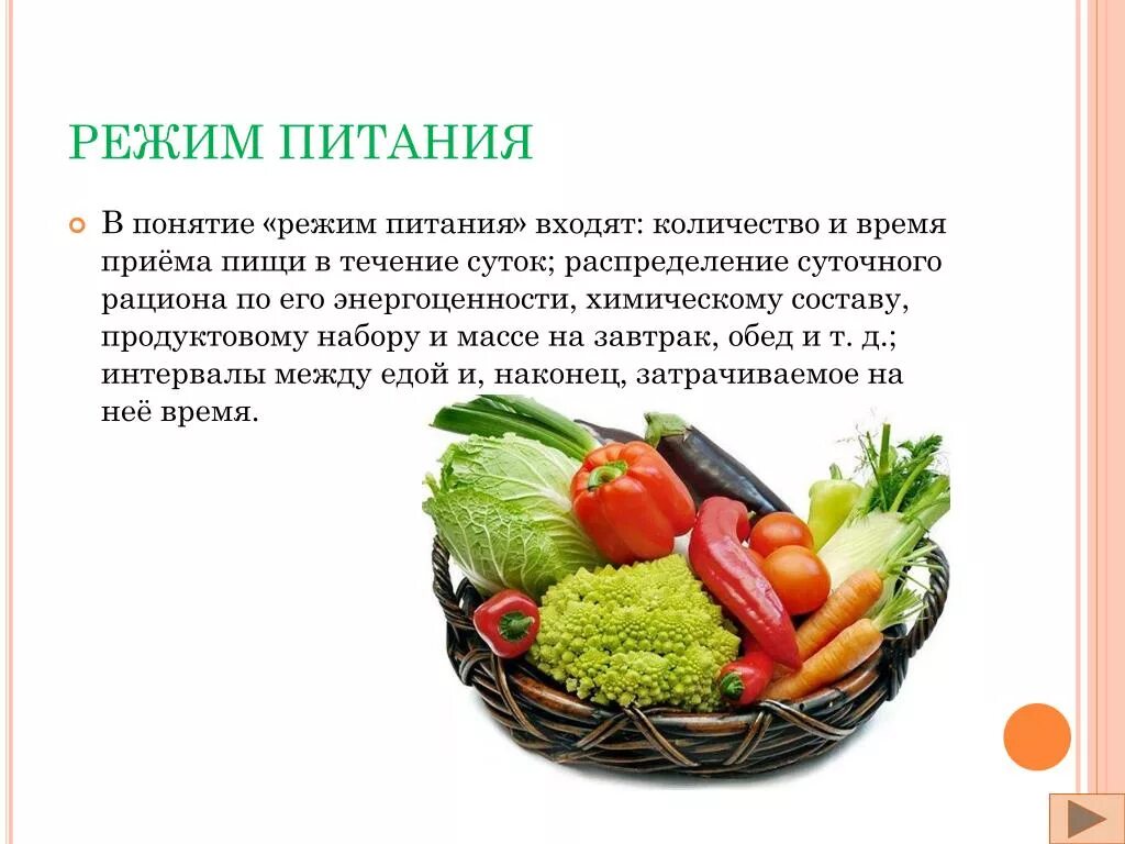 Дайте определения понятиям питание. Режим питания. Важность режима питания. Режим питания питания. Режим питания Графика.