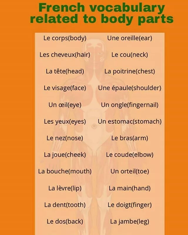 French Vocabulary. Vocabulary французский слова. Learn French Vocabulary. French Vocabulary in English language. Related vocabulary