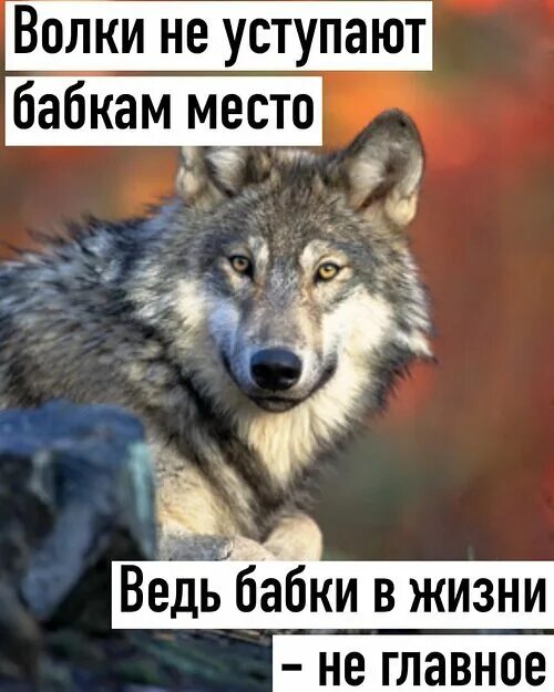Со смыслом 2020 Свобода ВКонтакте