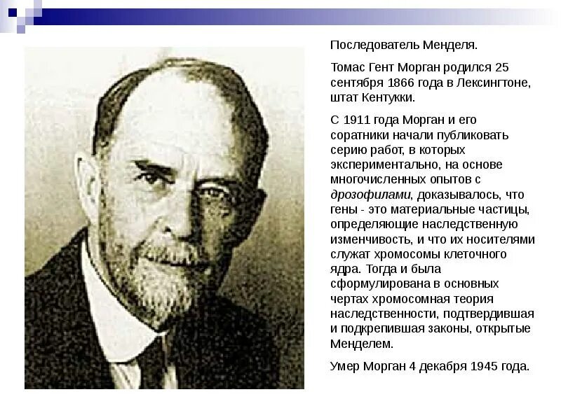 Вклад моргана в генетику