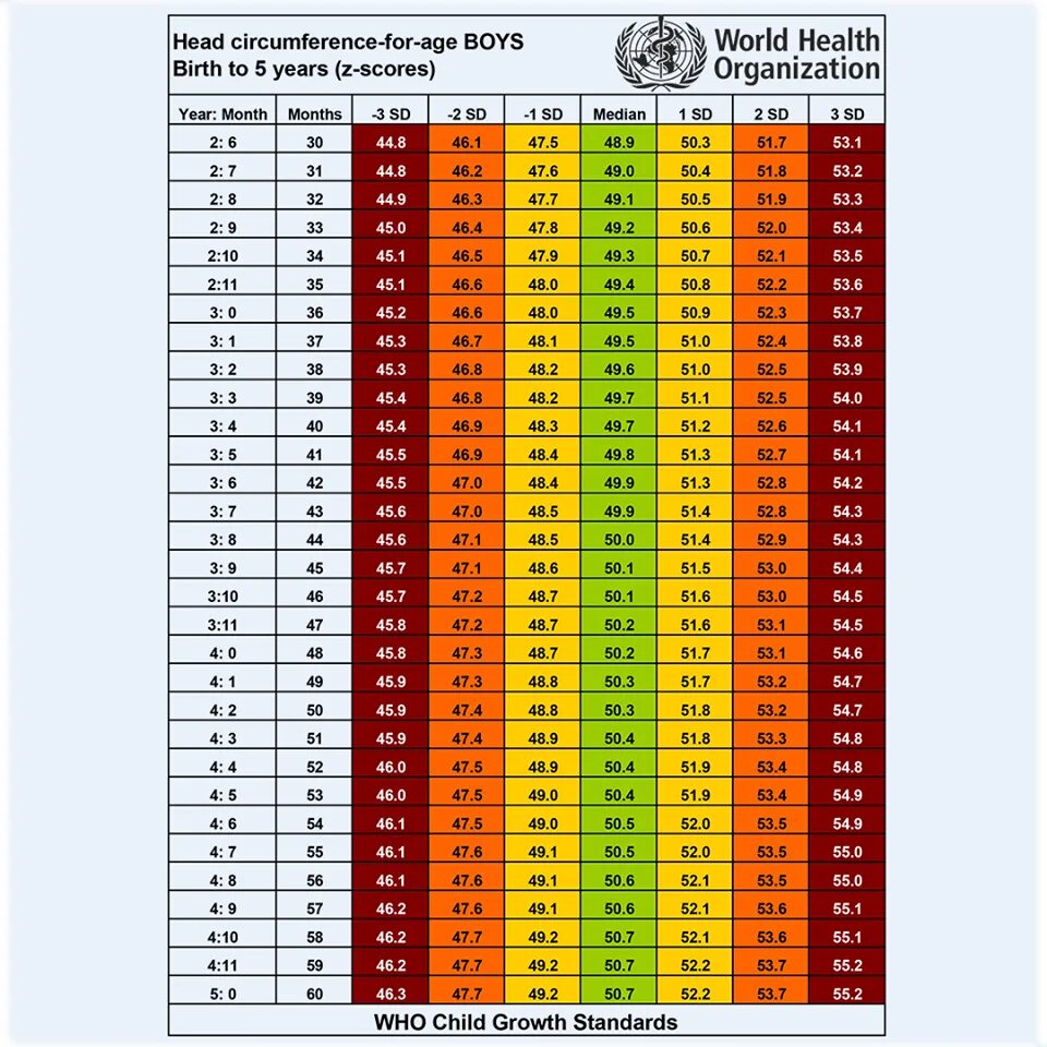 Окружность головы мальчики. Таблица норм окружности головы ребенка. Окружность головы норма у детей 3 года воз. Центильная таблица для девочек окружность головы. Центильные таблицы по окружности головы.
