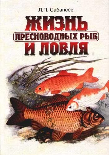 Жизнь пресноводных рыб сабанеев. Сабанеев ловля пресноводных рыб.