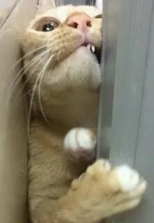 Даже не договорила