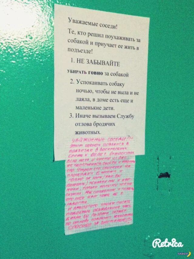 Соседская собака всю ночь протяжно и жалобно. Объявление для соседей у которых лает собака. Записка соседям у которых воет собака. Записка соседям у которых лает собака. Жалоба на собаку соседей.