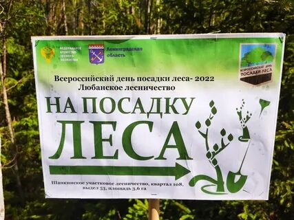 Всероссийском дне посадки леса