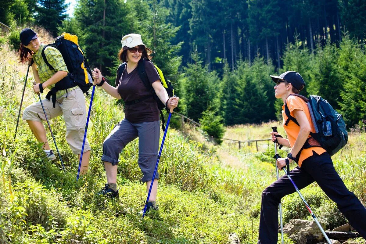 Вася для поездки в спортивный лагерь. Спортивный туризм. Активный спортивный туризм. Спортивно-оздоровительный туризм. Пешеходный туризм.