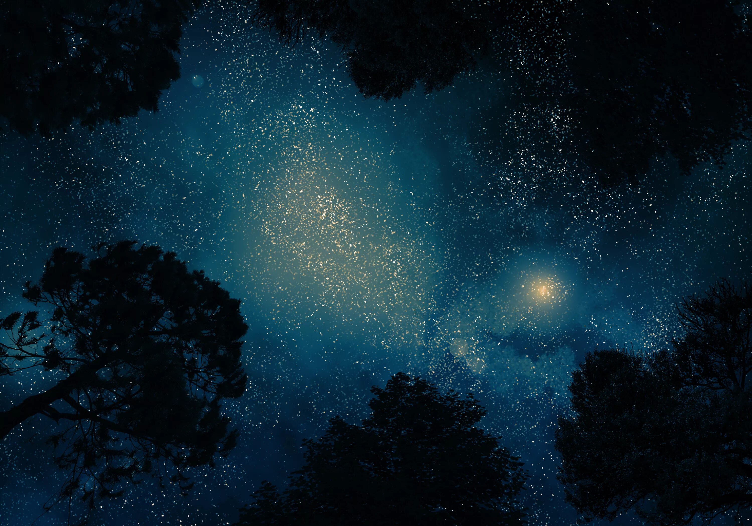 Ночное небо. Ночное звездное небо. Ночное небо со звездами. Звездное небо ночью. Through the stars