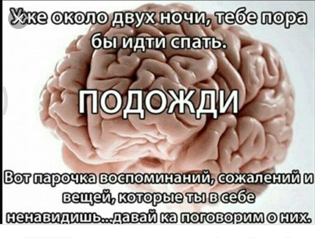 Анекдот про мозг. Шутки про мозг. Мозг шуточная. Смешные мозги. Мозг прикол.