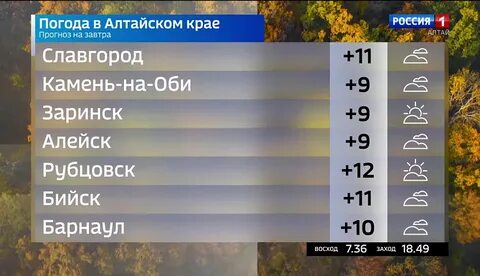 Погода на завтра рубцовск алтайский