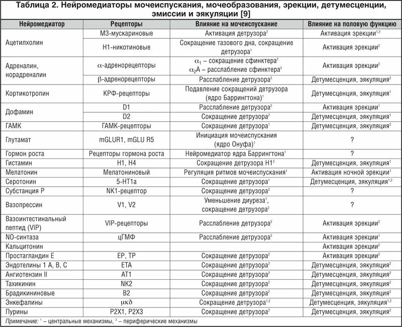 Сколько раз мочеиспускание у мужчин норма. Таблица нейромедиаторов и функции. Нейромедиаторы классификация функции. Классификация нейромедиаторов таблица. Медиаторы головного мозга таблица.