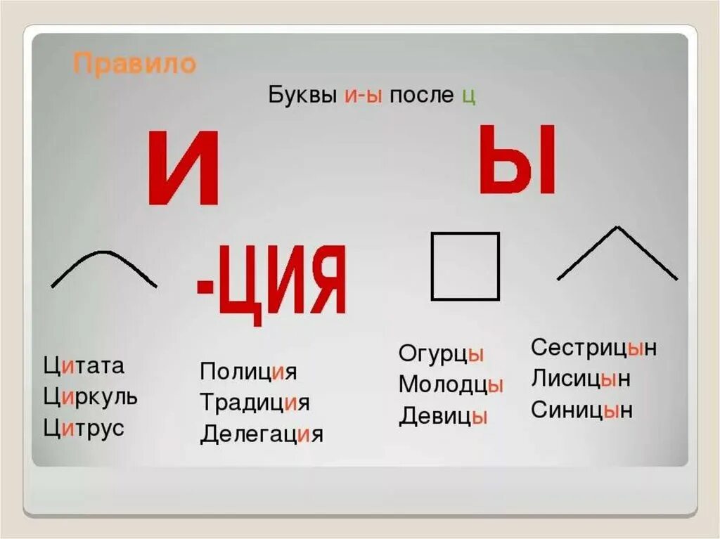 Слово с двумя ы. Правило написания и после ц. Правописание букв и ы после ц правило. Правописание и ы после ц правило. Правила написания буквы ы после буквы ц.