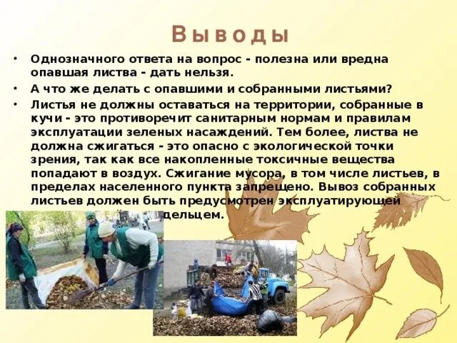 Польза осенних листьев. Уборка опавшей листвы. польза опавшей листвы. уборка листьев осенью. уборка листьев в саду.