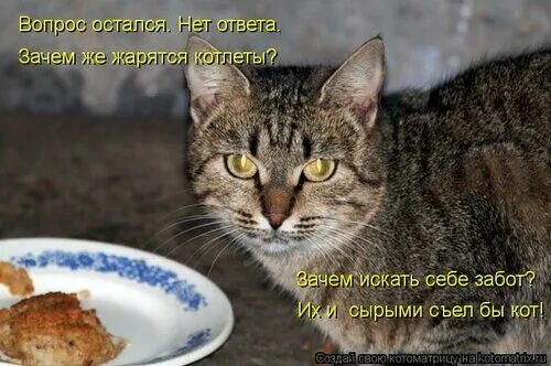 К чему снится есть котлеты