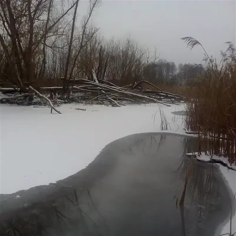 Первоавгустовский курская область. Погода моршнево курская область. Погода моршнево курская область. Погода моршнево курская область. Погода моршнево курская область.