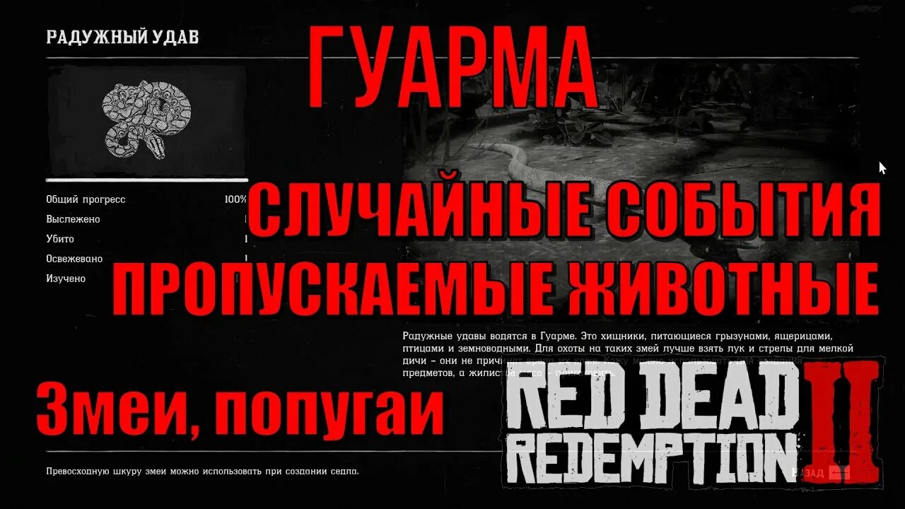 Рдр 2 гуарма как попасть. Рдр 2 гуарма животные. гуарма в red dead redemption. вст животный на гуарме в рдр2. рдр 2 как попасть на остров гуарма.