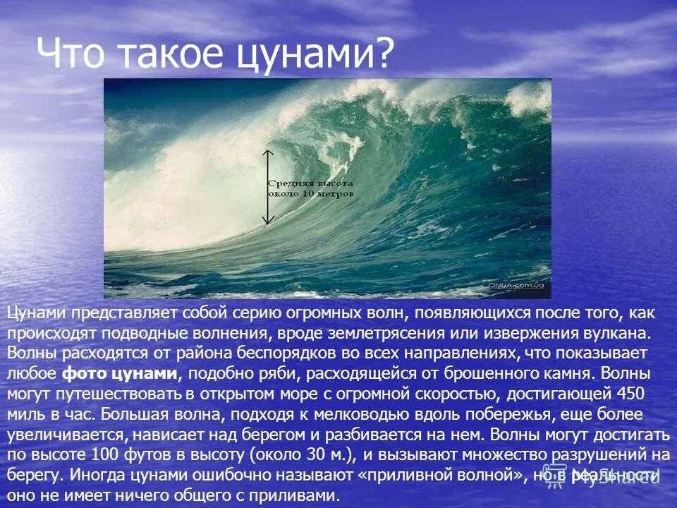 В каком городе был цунами. Цунами. волна цунами. цунами высота волны. высота цунами в океане.