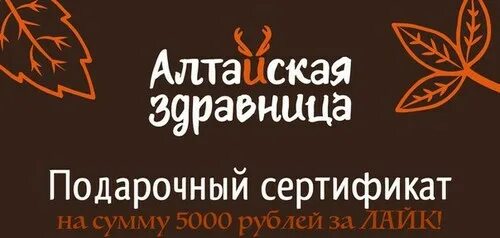 Алтайская здравница новокузнецк каталог с ценами. Алтайская здравница о салоне. Алтайская здравница Абакан. Алтайская здравница сертификаты. Сертификат Алтайская здравница подарочный.