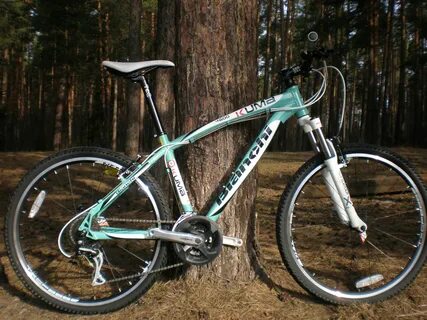 Bianchi kuma