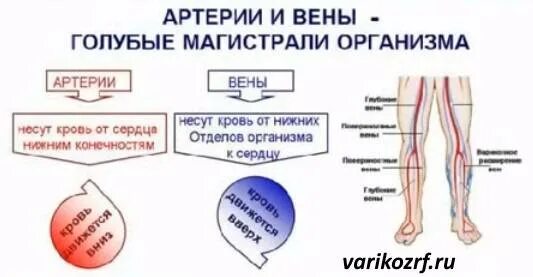 Тромбофлебит карта вызова. Тромбофлебит глубоких сосудов нижних конечностей. Тромбофлебит вен нижних конечностей клиника. Тромбоз глубоких вен нижних конечностей карта симптомы. Острый тромбоз глубоких вен клиника.