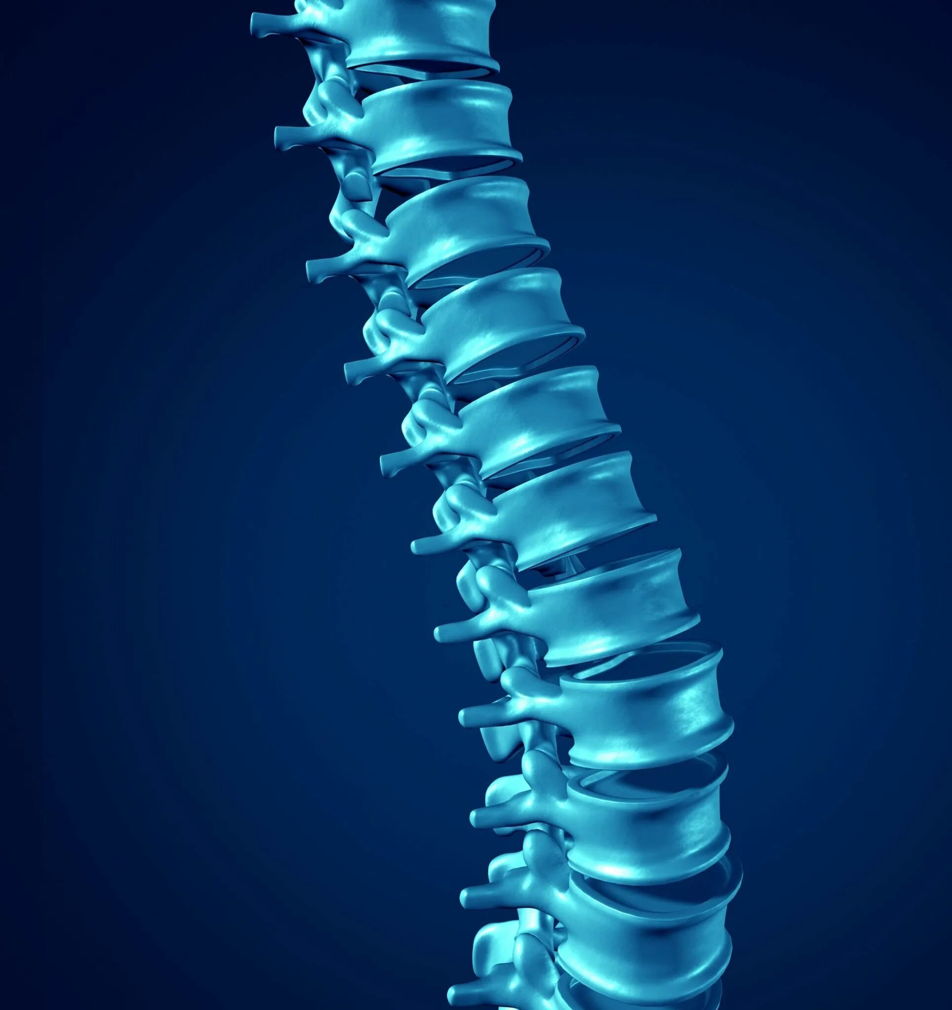 Здоровый позвоночник. Красивый позвоночник. Здоровый позвоночник анатомия. Позвоночник креативный.