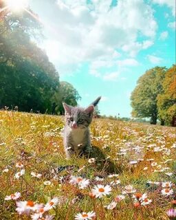 Какое нынче лето