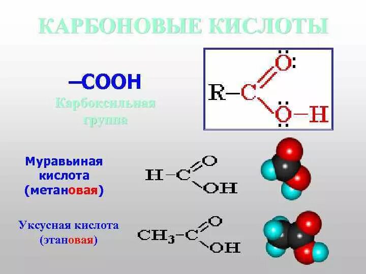 Формулы муравьиной и уксусной кислот. Муравьиная кислота и уксусная кислота. Метановая муравьиная кислота. Уксусная кислота структурная формула. Муравьиная кислота общая формула