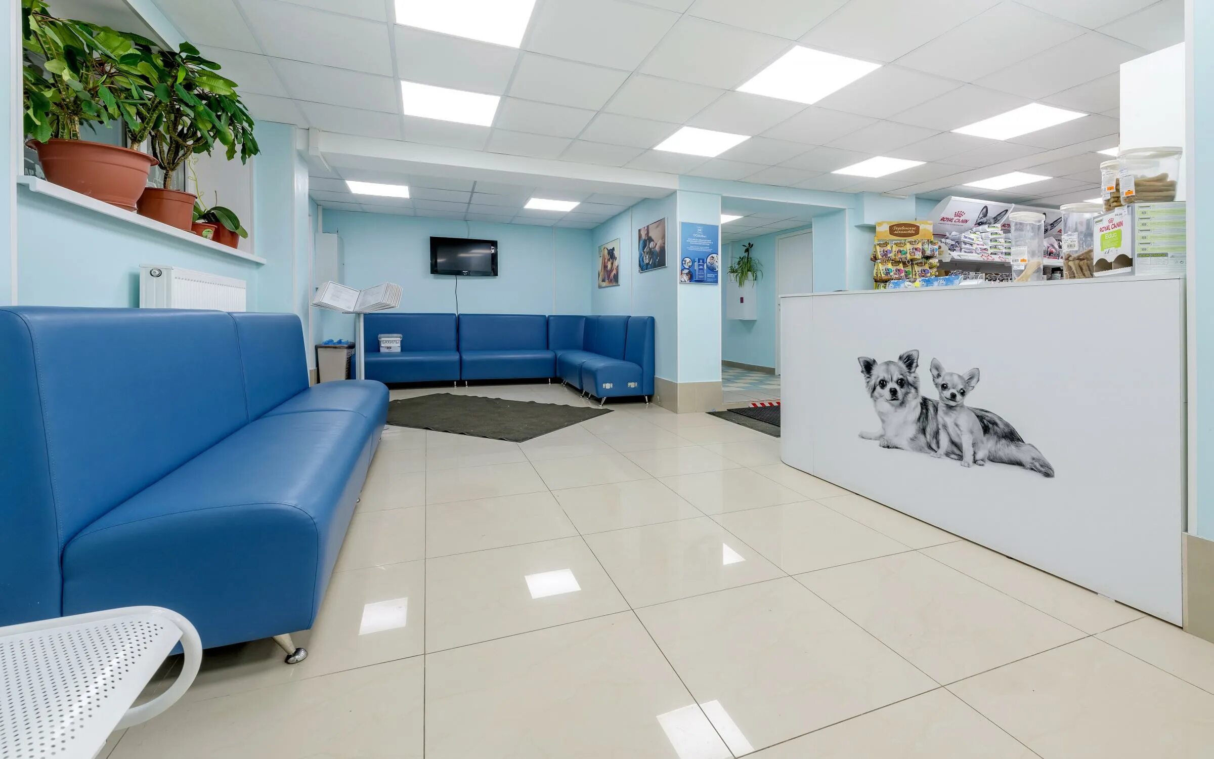 проспект большевиков 59 к 2. большевиков 65 к 2. большевистская 6 березники. большевиков 6 2. буквоед на большевиков.