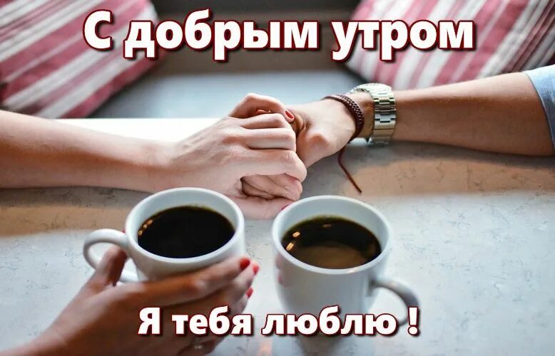 Доброе утро девушке на расстоянии. С добрым утром родной мужчина. доброе утро любимые родственники. доброе утро мой родной и любимый. доброе утро любимый я тебя люблю.