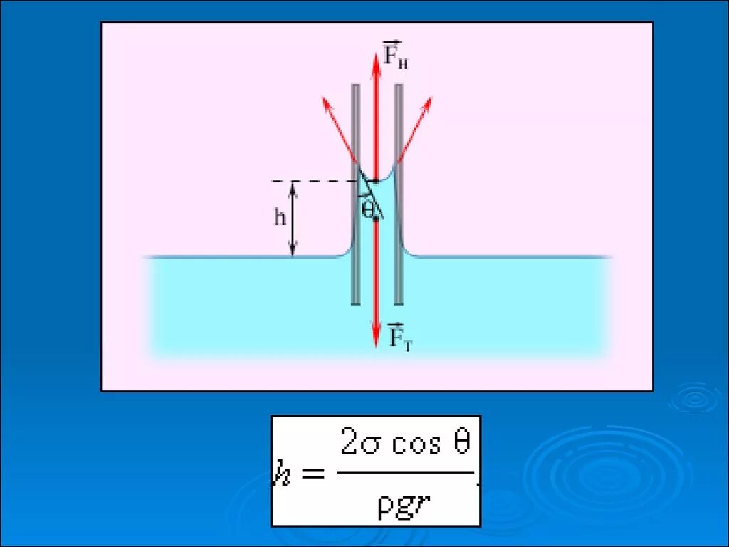 Жидкость капиллярное явление. Капиллярные явления физика. Подъем смачивающей жидкости в капилляре. Капиллярные явления физика жидкость. Капиллярные трубки физика.