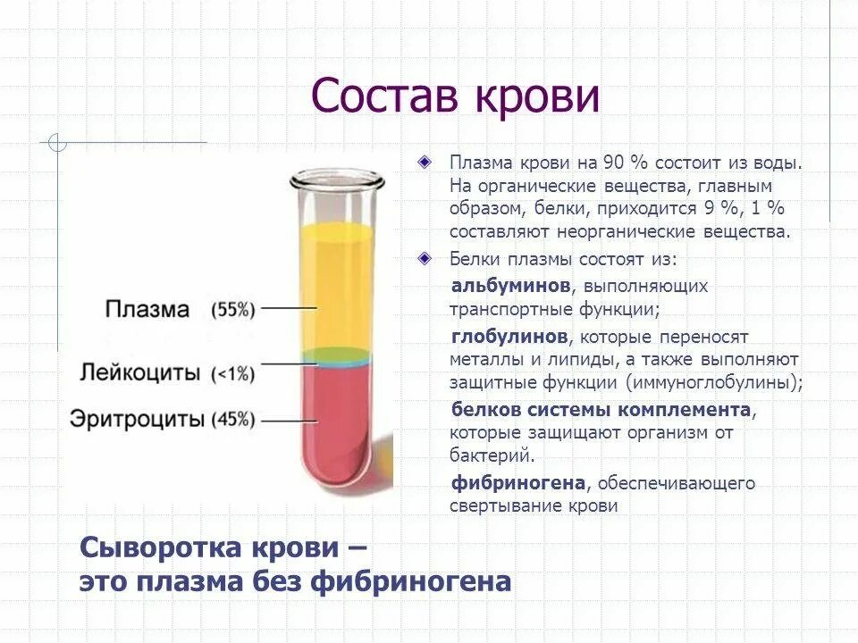 Строение и функции плазмы. Строение плазмы крови человека. плазма крови это в химии. состав крови и плазмы крови. состав плазмы крови таблица функции.