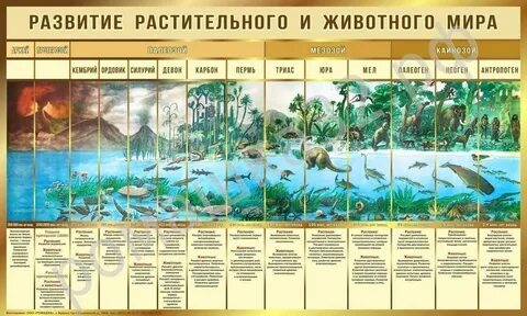 Развитие жизни на земле 4 класс