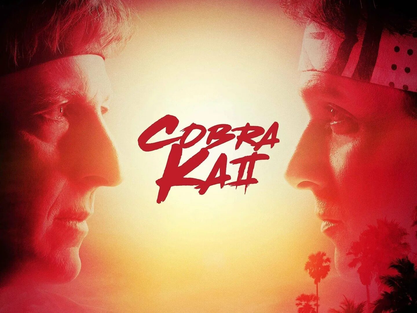 Cobra kai 1 1. Cobra Kai.