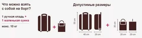 Ред вингс ручная кладь габариты и вес